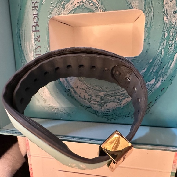 Disneyland Band - Picture 5 of 7